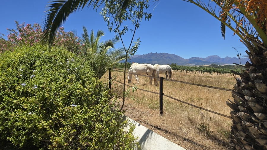 Commercial Property for Sale in Wellington Rural Western Cape